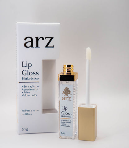 Lip Gloss Mais Volume