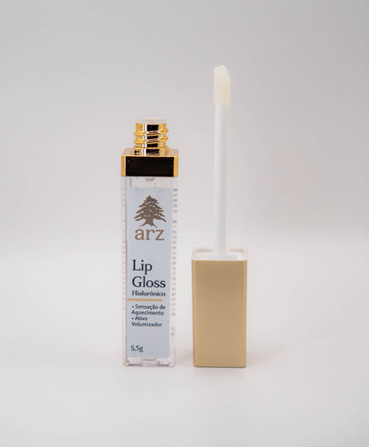 Lip Gloss Mais Volume