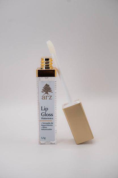 Lip Gloss Mais Volume